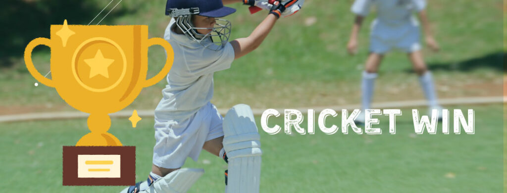 information about cricket