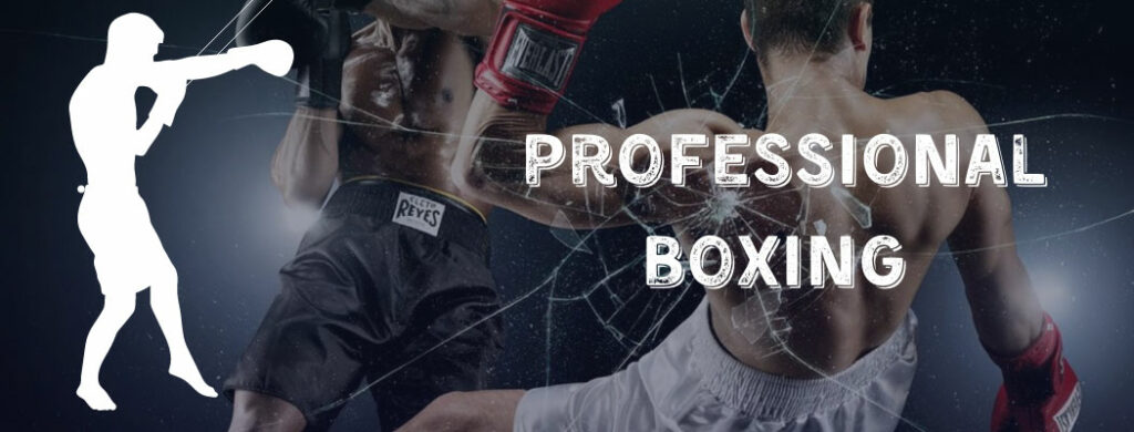 professional boxing fight